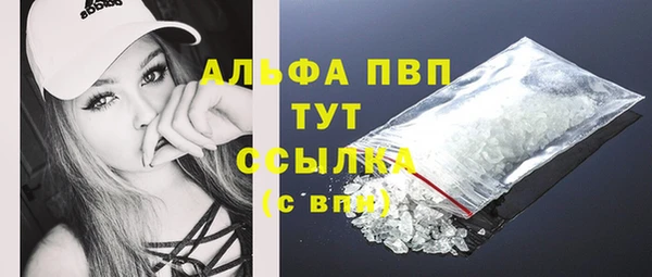 молекула духа Арсеньев