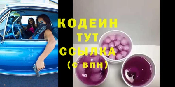 молекула духа Арсеньев