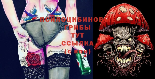 молекула духа Арсеньев