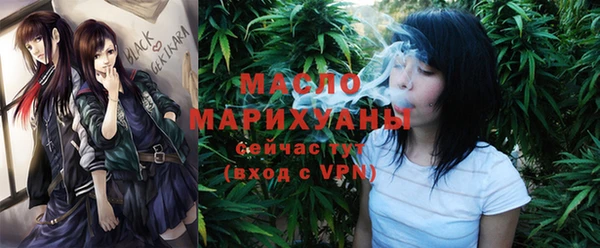 молекула духа Арсеньев