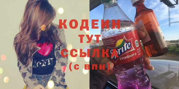 молекула духа Арсеньев
