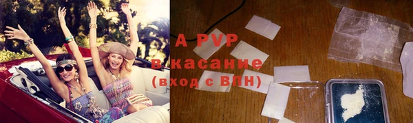 молекула духа Арсеньев